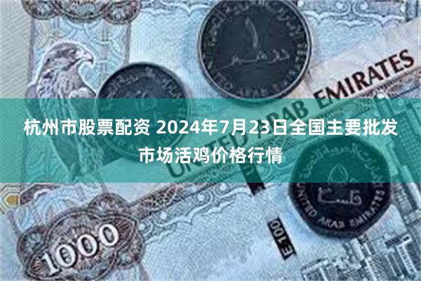 杭州市股票配资 2024年7月23日全国主要批发市场活鸡价格行情