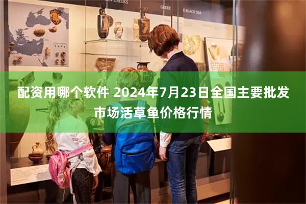 配资用哪个软件 2024年7月23日全国主要批发市场活草鱼价格行情