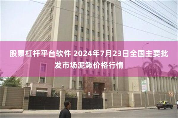 股票杠杆平台软件 2024年7月23日全国主要批发市场泥鳅价格行情