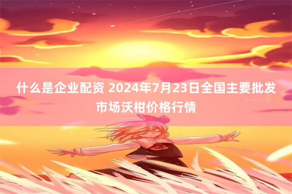 什么是企业配资 2024年7月23日全国主要批发市场沃柑价格行情