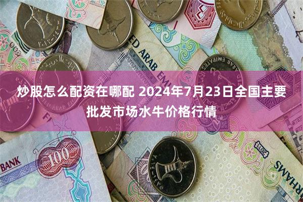 炒股怎么配资在哪配 2024年7月23日全国主要批发市场水牛价格行情