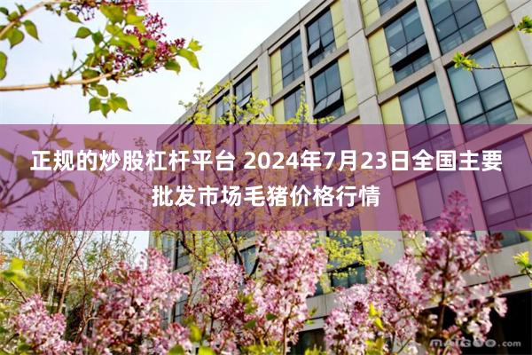 正规的炒股杠杆平台 2024年7月23日全国主要批发市场毛猪价格行情