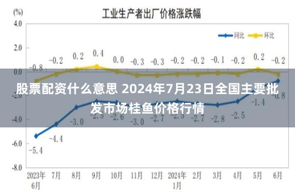 股票配资什么意思 2024年7月23日全国主要批发市场桂鱼价格行情