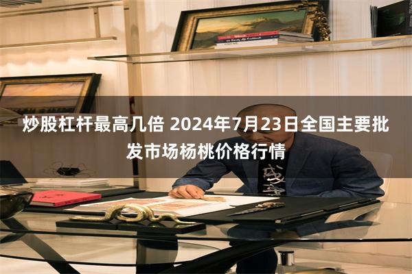 炒股杠杆最高几倍 2024年7月23日全国主要批发市场杨桃价格行情