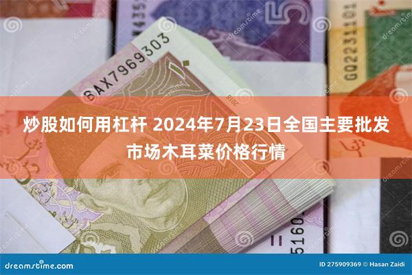 炒股如何用杠杆 2024年7月23日全国主要批发市场木耳菜价格行情