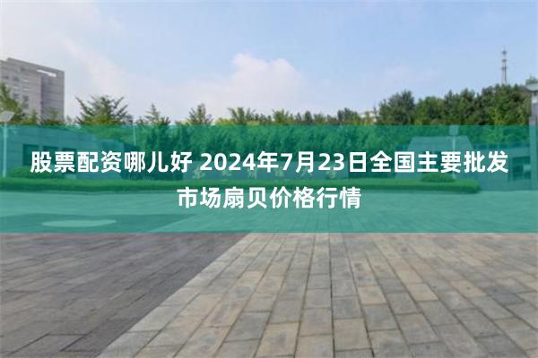 股票配资哪儿好 2024年7月23日全国主要批发市场扇贝价格行情