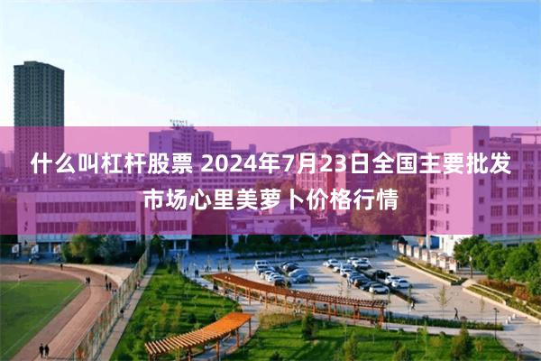 什么叫杠杆股票 2024年7月23日全国主要批发市场心里美萝卜价格行情