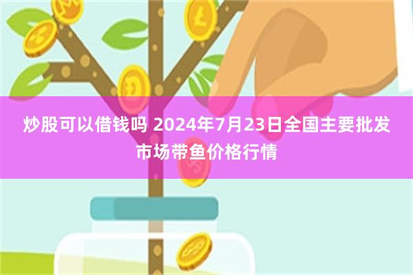 炒股可以借钱吗 2024年7月23日全国主要批发市场带鱼价格行情