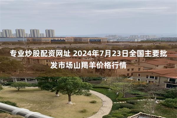 专业炒股配资网址 2024年7月23日全国主要批发市场山羯羊价格行情