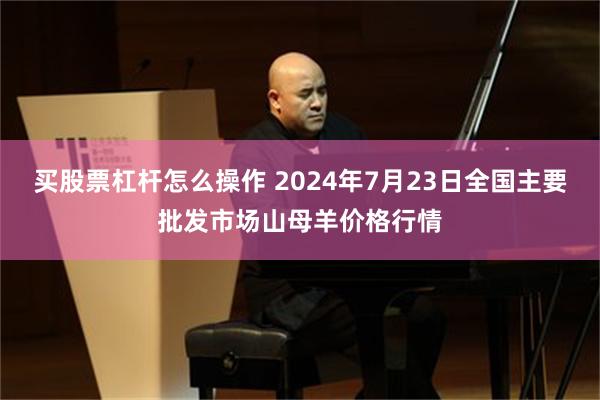 买股票杠杆怎么操作 2024年7月23日全国主要批发市场山母羊价格行情