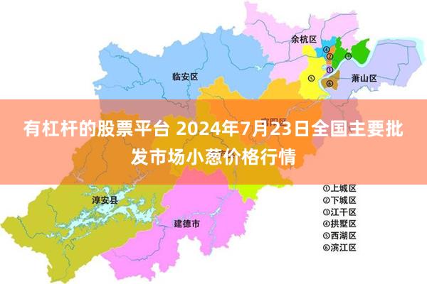 有杠杆的股票平台 2024年7月23日全国主要批发市场小葱价格行情