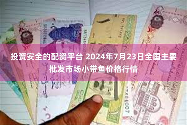 投资安全的配资平台 2024年7月23日全国主要批发市场小带鱼价格行情