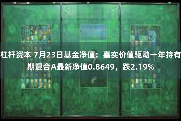 杠杆资本 7月23日基金净值：嘉实价值驱动一年持有期混合A最新净值0.8649，跌2.19%