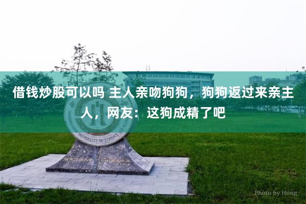 借钱炒股可以吗 主人亲吻狗狗，狗狗返过来亲主人，网友：这狗成精了吧