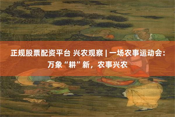 正规股票配资平台 兴农观察 | 一场农事运动会：万象“耕”新，农事兴农