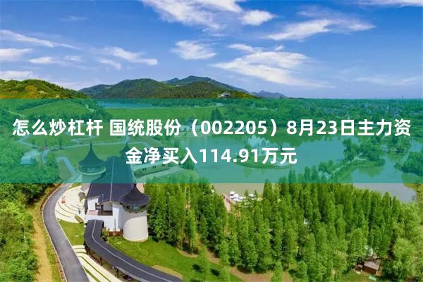 怎么炒杠杆 国统股份（002205）8月23日主力资金净买入114.91万元