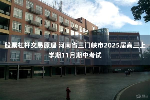 股票杠杆交易原理 河南省三门峡市2025届高三上学期11月期中考试