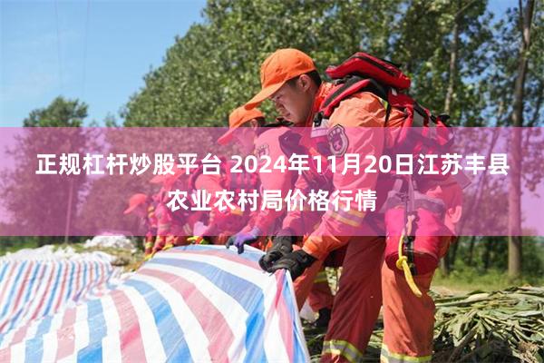 正规杠杆炒股平台 2024年11月20日江苏丰县农业农村局价格行情