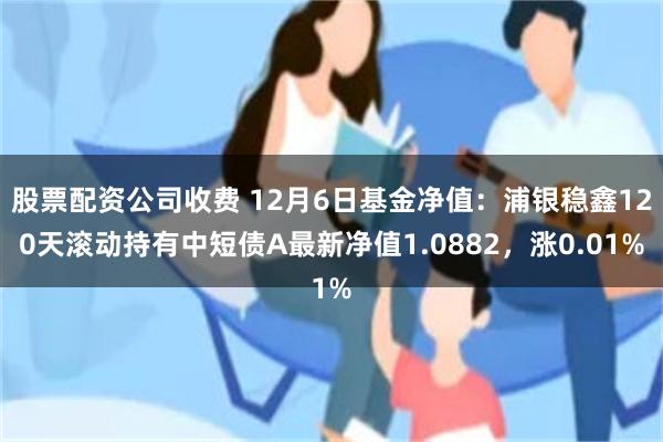 股票配资公司收费 12月6日基金净值：浦银稳鑫120天滚动持有中短债A最新净值1.0882，涨0.01%