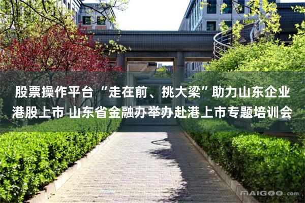 股票操作平台 “走在前、挑大梁”助力山东企业港股上市 山东省金融办举办赴港上市专题培训会