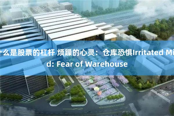 什么是股票的杠杆 烦躁的心灵：仓库恐惧Irritated Mind: Fear of Warehouse