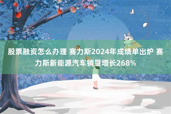 股票融资怎么办理 赛力斯2024年成绩单出炉 赛力斯新能源汽车销量增长268%