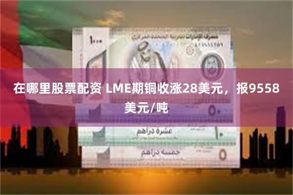 在哪里股票配资 LME期铜收涨28美元，报9558美元/吨