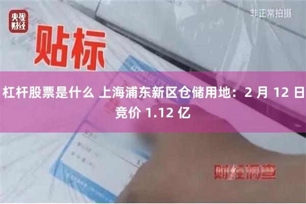 杠杆股票是什么 上海浦东新区仓储用地：2 月 12 日竞价 1.12 亿