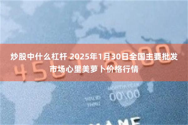 炒股中什么杠杆 2025年1月30日全国主要批发市场心里美萝卜价格行情