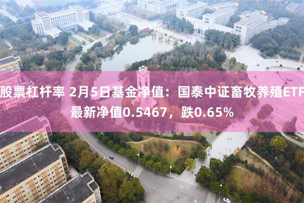 股票杠杆率 2月5日基金净值：国泰中证畜牧养殖ETF最新净值0.5467，跌0.65%