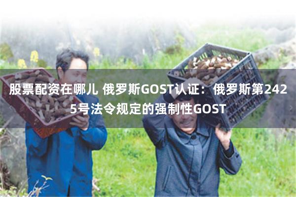 股票配资在哪儿 俄罗斯GOST认证：俄罗斯第2425号法令规定的强制性GOST