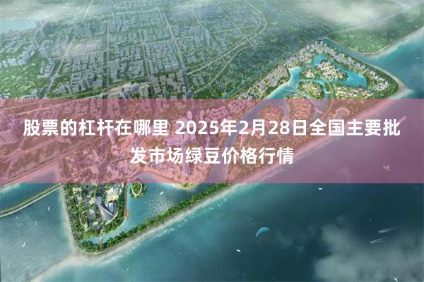 股票的杠杆在哪里 2025年2月28日全国主要批发市场绿豆价格行情